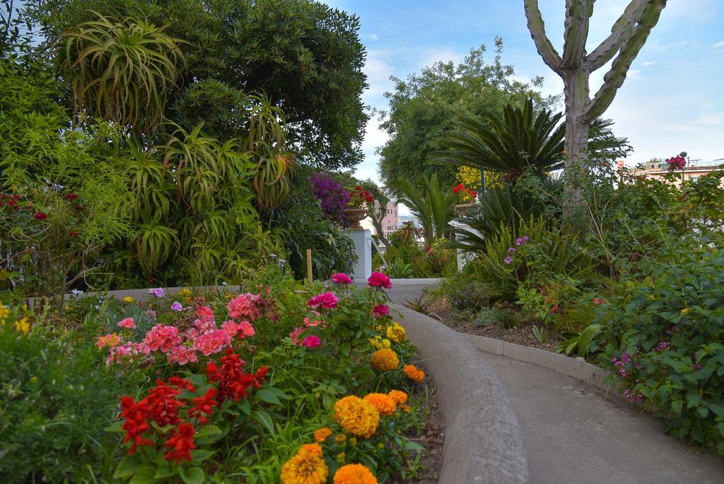 Villa Panoramica - Ischia Ponte Luaran gambar
