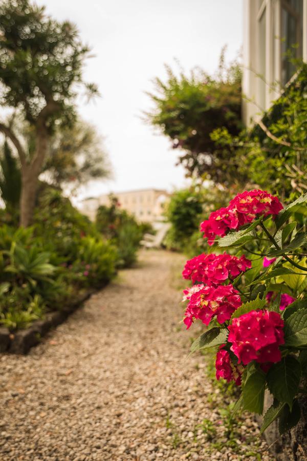 Villa Panoramica - Ischia Ponte Luaran gambar
